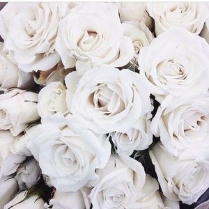 Meet your Posher, Gabby